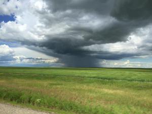 13626991_1050136175066041_4311263198190723613_n