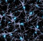 neurons-with-electrical-synapses-firing