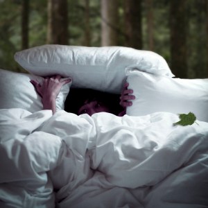 5075119568_0a018e42cf_b